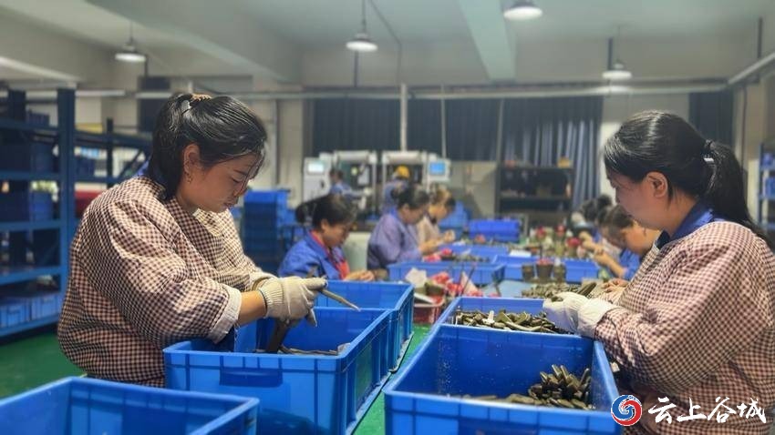 年銷售收入突破8000萬元！襄陽立強機械訂單飽和產銷兩旺