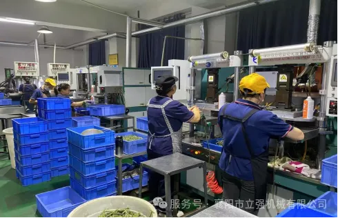 盛夏深耕結碩果，創新奮進正當時（七月篇）
