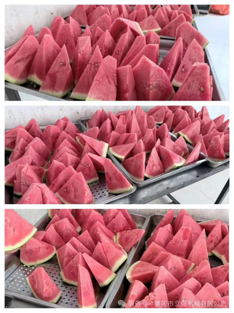盛夏深耕結碩果，創新奮進正當時（七月篇）